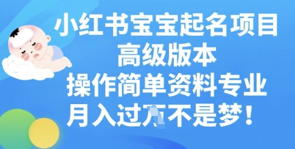 小红书宝宝起名项目高级版本，操作简单，资料专业，月入过W-知源网创