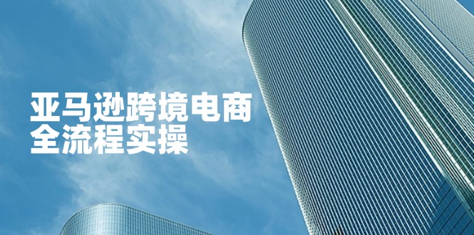 （14252期）亚马逊跨境电商全流程实操，教你从零开始，掌握店铺运营与广告技巧-知源网创