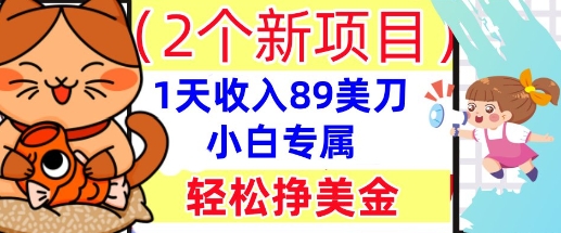 2个新项目,轻松挣美金, 1天收入89美刀,小白专属,干货分享-知源网创