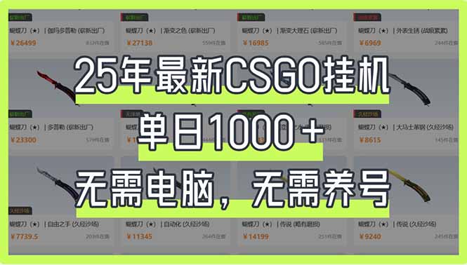（14178期）25年最新CSGO挂机系统，单日1000+，无需电脑，无需养号，0基础可上手-知源网创