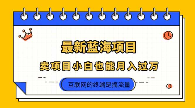 （14289期）2025年最新蓝海项目，卖项目小白也能月入过万-知源网创