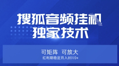 【搜狐音频挂G】独家技术，可矩阵可放大，红利期稳定月入8k【揭秘】-知源网创