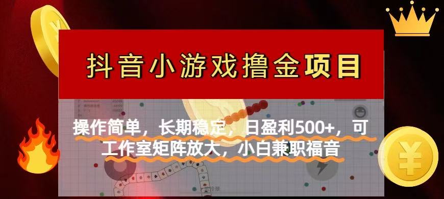 (14290期)【抖音小游戏发行人计划项目】操作简单,长期稳定,日盈利500+,可工作...-知源网创