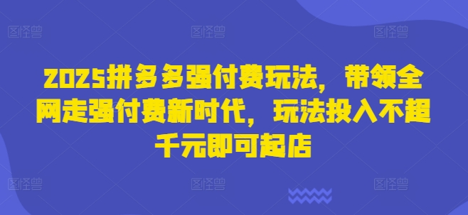 2025拼多多强付费玩法，带领全网走强付费新时代，玩法投入不超千元即可起店-知源网创