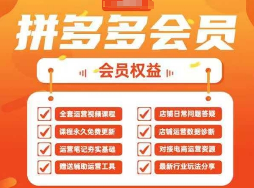 2025拼多多运营实战课，40节全流程教学，覆盖拼多多运营全链路-知源网创