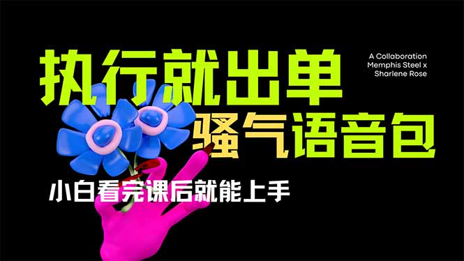 （14170期）爆火全网的开车导航骚气语音包,只要执行就出单，小白看完课程就能实操...-知源网创